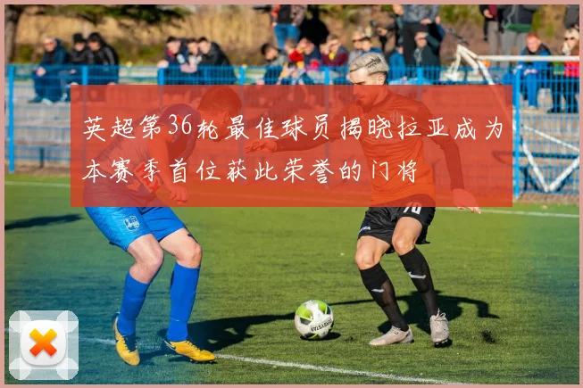 英超第36轮最佳球员揭晓拉亚成为本赛季首位获此荣誉的门将