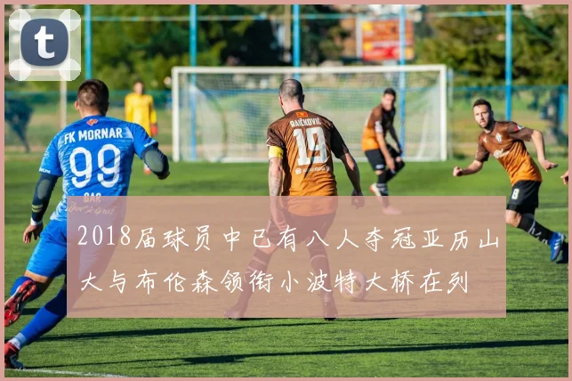 2018届球员中已有八人夺冠亚历山大与布伦森领衔小波特大桥在列