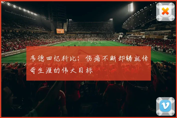 韦德回忆科比：伤痛不断却铸就传奇生涯的伟大目标